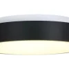 Plafondlamp-Steinhauer Plafondlamp 3086ZW Ringlede
