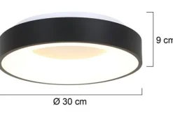 Plafondlamp-Steinhauer Plafondlamp 3086ZW Ringlede