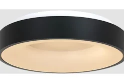 Plafondlamp-Steinhauer Plafondlamp 3086ZW Ringlede