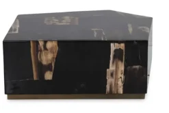 Outlet Salontafel Petrified Wood Large 706817 Rayn Salontafels