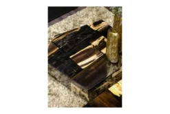 Outlet Salontafel Petrified Wood Large 706817 Rayn Salontafels