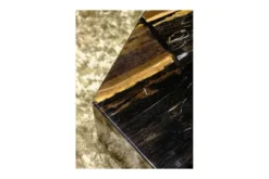 Outlet Salontafel Petrified Wood Large 706817 Rayn Salontafels