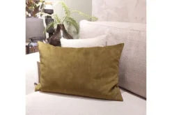 Sierkussens-Claudi Sierkussen Dark Gold Paulina |