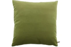 Online Sierkussen Pistache Scott | Sierkussens