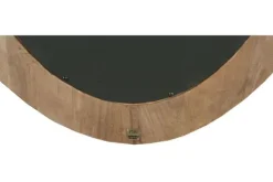 Spiegels-PTMD Spiegel Noam