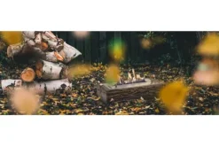 Tuinartikelen|Sfeerhaarden-Xaralyn Tafelhaard Bio Ethanol 4114LS Woody