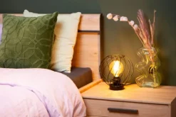 Online Tafellamp Danza Tafellampen