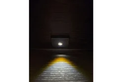 Buffetkasten-van Dijk Furniture Vitrinekast Established