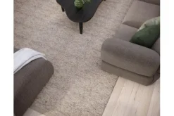 Vloerkleden-Brinker Vloerkleed 01 Basilicaal |