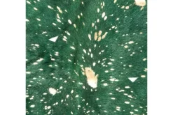 Sale Vloerkleed 110 Groen Fly Vloerkleden