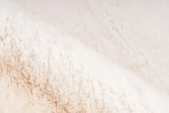 Vloerkleden-ET Rugs Vloerkleed 900 Ivory Shilavo