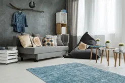 Online Vloerkleed 110 Petrol Etna Vloerkleden