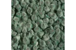 Vloerkleden-Brinker Vloerkleed 4403 Trifora |