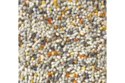 Vloerkleden-Brink & Campman Vloerkleed Calendula 70213 Rocks |