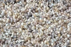 Vloerkleden-Brink & Campman Vloerkleed Driftwood 61805 Young |