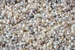 Vloerkleden-Brink & Campman Vloerkleed Driftwood 61805 Young |