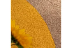 Vloerkleden-Brink & Campman Vloerkleed Festival Round Yellow 496306 Habitat |