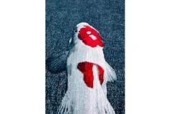 Vloerkleed Japanese Pond 9390 Pop | Vloerkleden