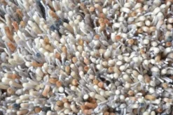 Vloerkleden-Brink & Campman Vloerkleed Natural 61801 Young |