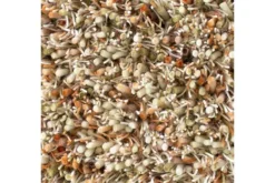 Vloerkleden-Brink & Campman Vloerkleed Pumpkin 59123 Spring |