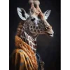 Sale Wandkleed Giraffe Wandkleden