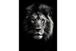 Wandkleden-Urban Cotton Wandkleed Mighty Lion