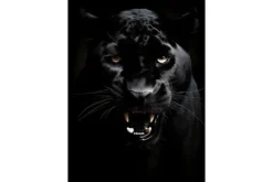 Discount Wandkleed Rawr Panther Wandkleden