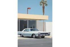 Outlet Wandkleed Vice Wandkleden