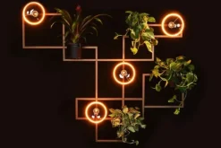 Wandlampen-Ztahl Wandlamp - 1005 Varese