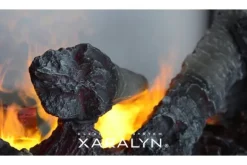 Sfeerhaarden-Xaralyn Waterdamphaard Todos